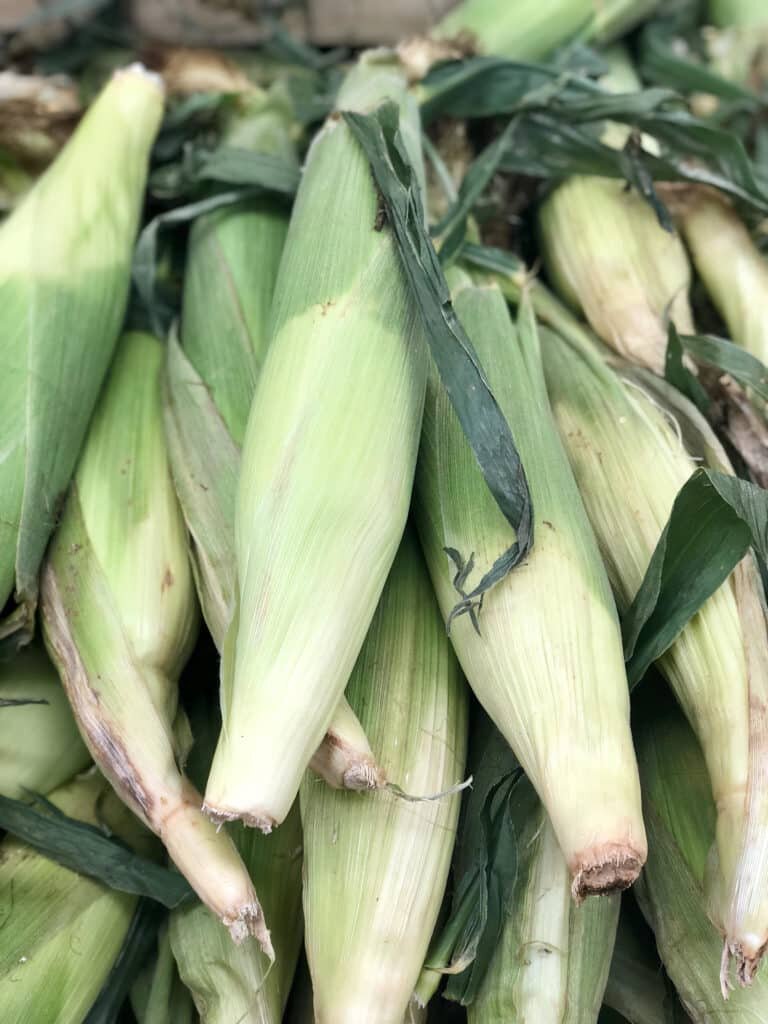 Instant Pot Corn on the Cob